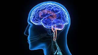 Neurology Treatment Cost in India