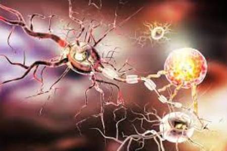 Amyotrophic Lateral Sclerosis Surgery Treatment Cost 