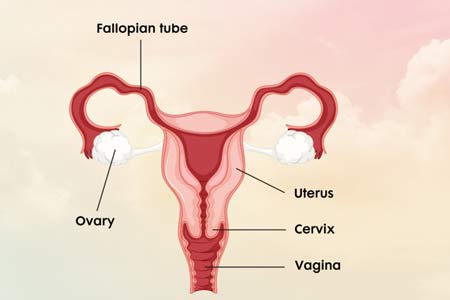 Uterus Removal Surgery Side Effects