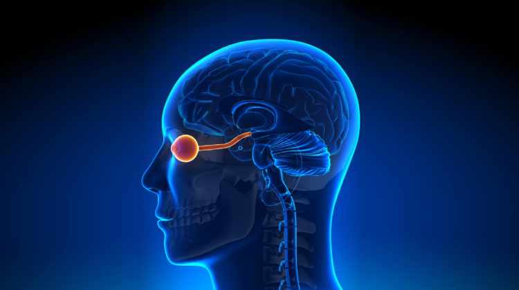 Retinal Detachment Surgery in India