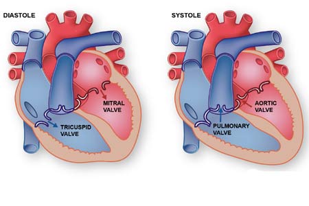 Heart Valve Replacement in India